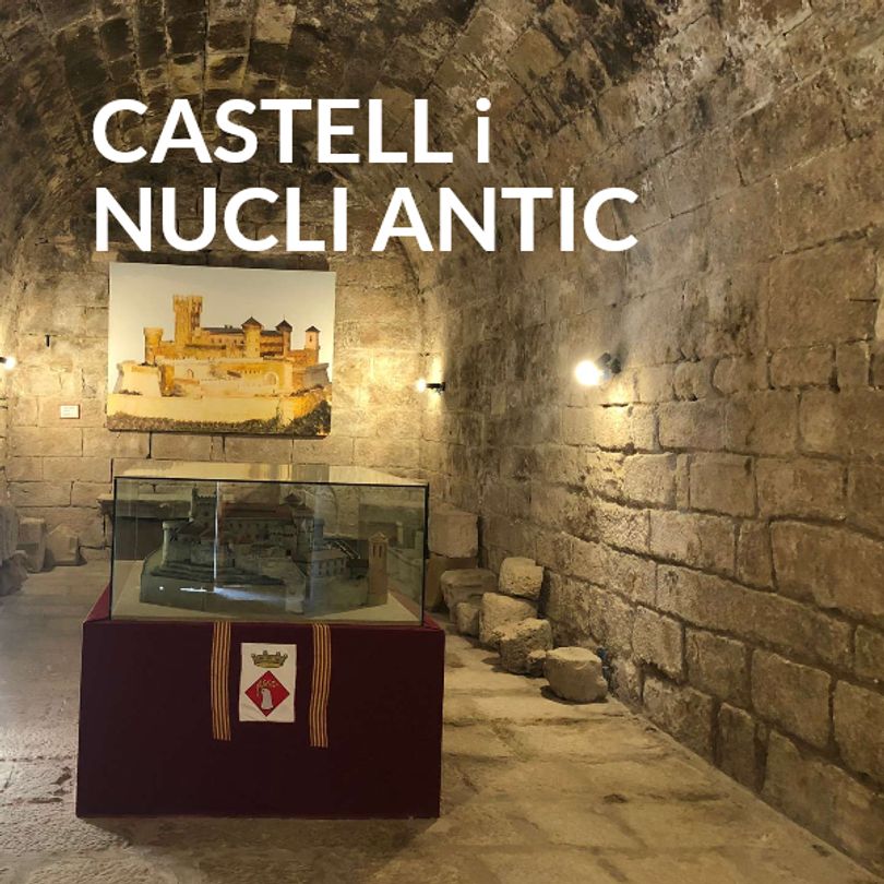 Visita Guiada NUCLI ANTIC I CASTELL