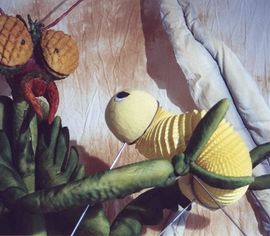 ¿QUIÉN SOY? DE ORUGA A MARIPOSA