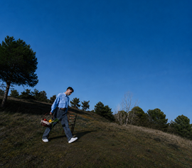 ROMANCE EN CASTILLA