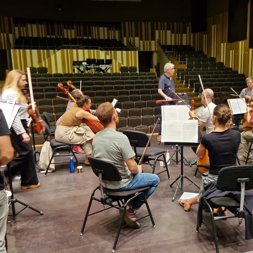 Camerata Eduard Toldrà. Direcció: Edmon Colomer