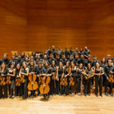 IL TROVATORE