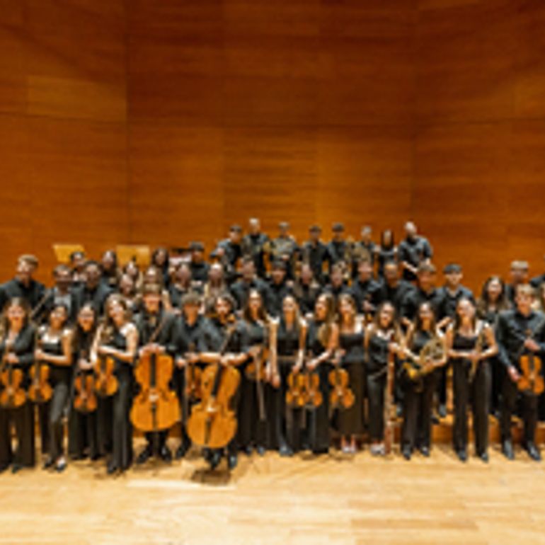 IL TROVATORE