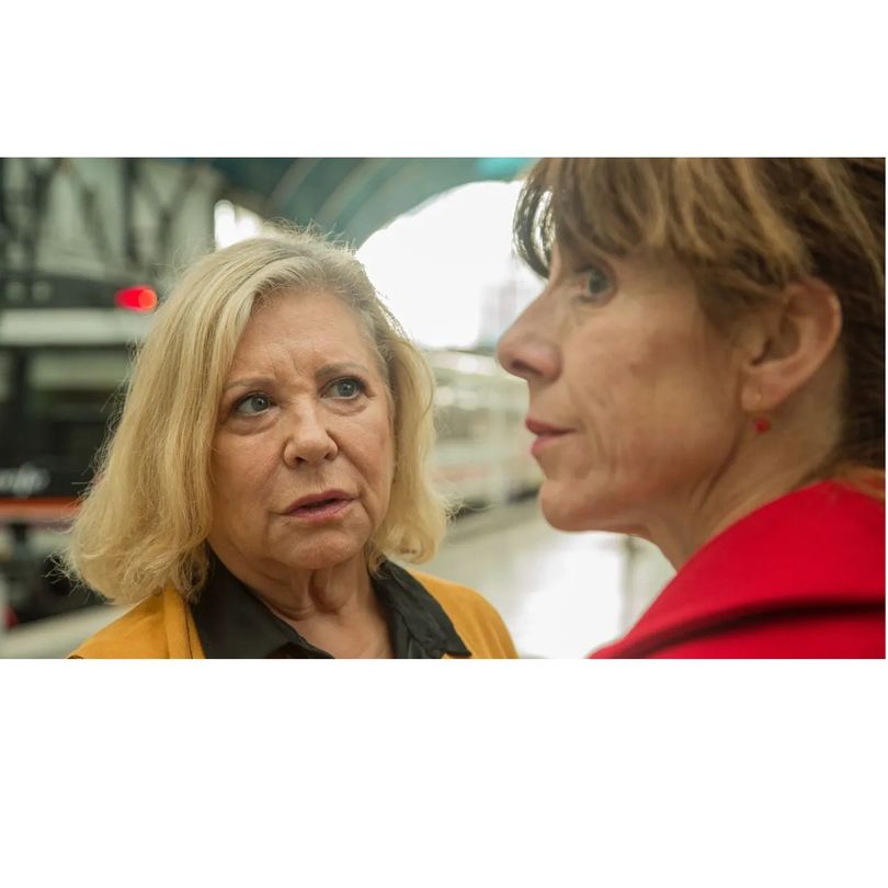 La meitat de l'ànima