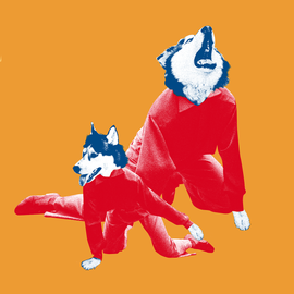 Los perros